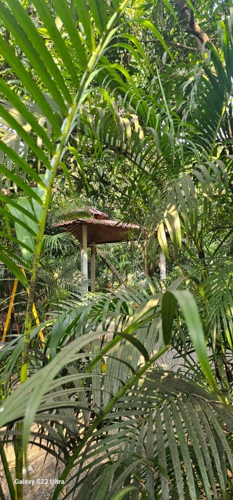 Lush green garden area at Resort Saffron Indian Spice near Gir National Park