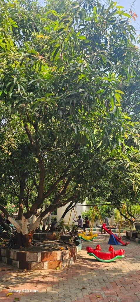 Outdoor play area for children at Sasan Gir resort