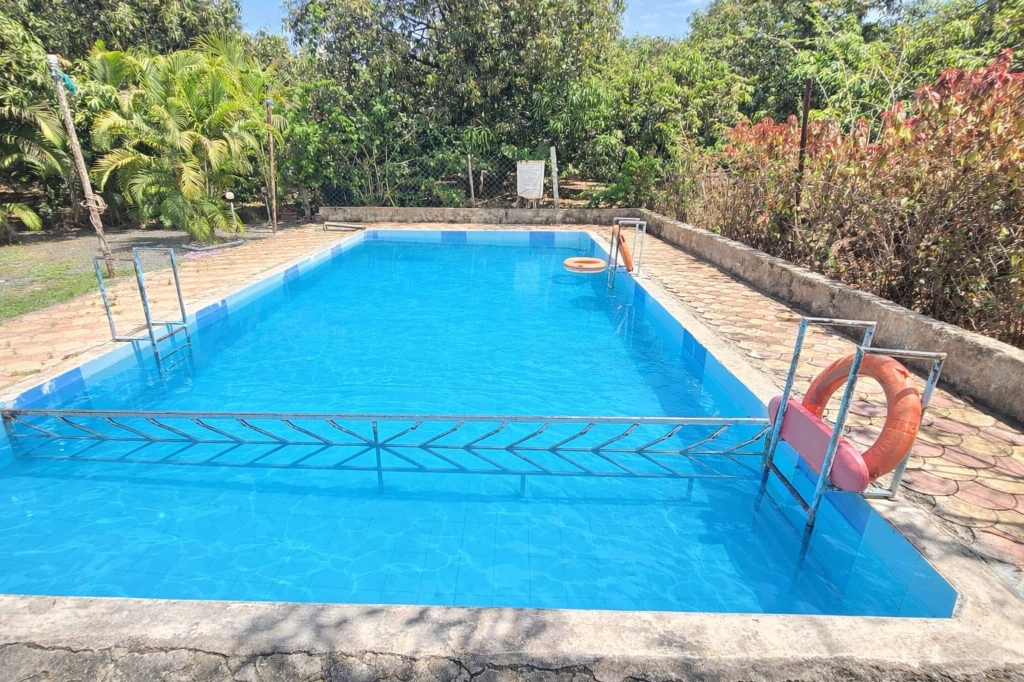 Swimming pool at Saffron Indian Spice Resort near Gir National Park